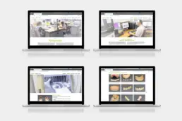 Collage aus vier Laptops mit Websiten-Ansichten