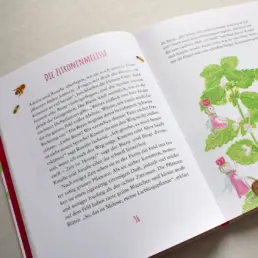 Detailaufnahme Buch-Doppelseite