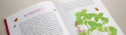 Detailaufnahme Buch-Doppelseite