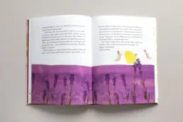 Buch-Doppelseite