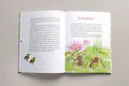 Buch-Doppelseite