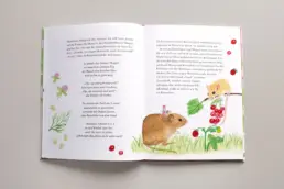 Buch-Doppelseite