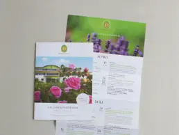 Collage aus Broschüren-Titel und aufgefaltetem Leporello