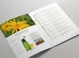 Broschüren-Doppelseite mit Produkten