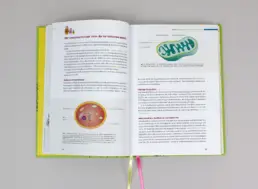 Buch-Doppelseite mit wissenschaftlichen Illustrationen