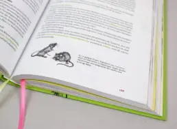 Detailaufnahme einer Illustration